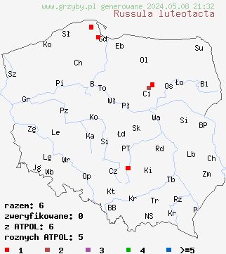 znaleziska Russula luteotacta (gołąbek żółknący) na terenie Polski