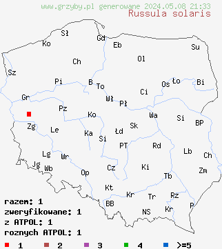 znaleziska Russula solaris (gołąbek słoneczny) na terenie Polski