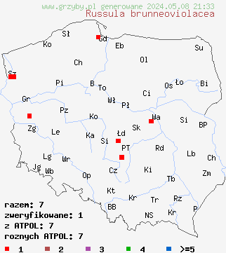 znaleziska Russula brunneoviolacea (gołąbek brunatnofioletowy) na terenie Polski