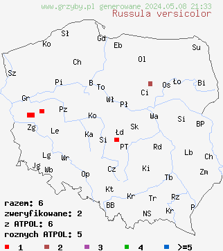 znaleziska Russula versicolor (gołąbek różnobarwny) na terenie Polski