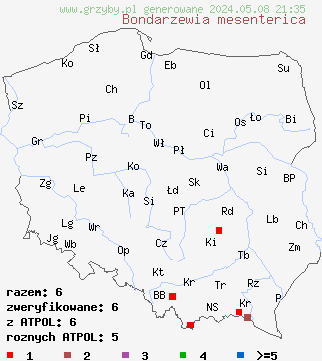 znaleziska Bondarzewia mesenterica (jodłownica górska) na terenie Polski