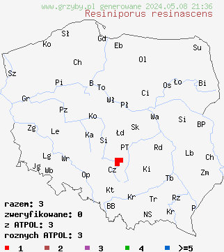 znaleziska Resiniporus resinascens (woszczyneczka żywiczna) na terenie Polski