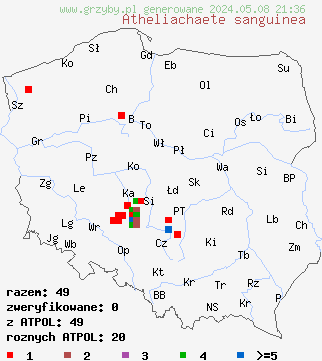 znaleziska Atheliachaete sanguinea (korownica krwawa) na terenie Polski