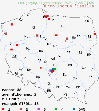 znaleziska Aurantiporus fissilis (białak czerniejący) na terenie Polski