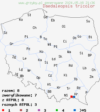 znaleziska Daedaleopsis tricolor (gmatwica trójbarwna) na terenie Polski