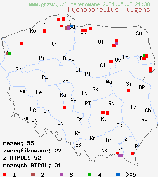 znaleziska Pycnoporellus fulgens (pomarańczowiec błyszczący) na terenie Polski