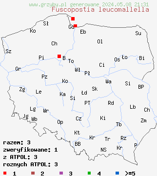 znaleziska Fuscopostia leucomallella (rdzawoporek rozwierkowy) na terenie Polski