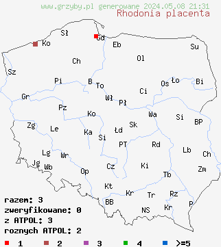 znaleziska Rhodonia placenta (różoporek ceglastoczerwony) na terenie Polski
