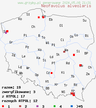 znaleziska Neofavolus alveolaris (żagiewka wielkopora) na terenie Polski