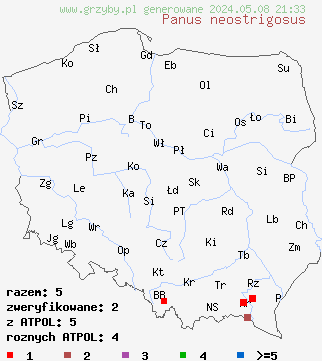 znaleziska Panus neostrigosus (łyczak szczeciniasty) na terenie Polski