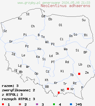 znaleziska Neolentinus adhaerens (twardoskórzak lepki) na terenie Polski