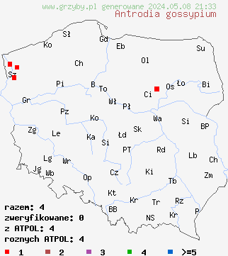 znaleziska Antrodia gossypium (jamkówka bawełniana) na terenie Polski