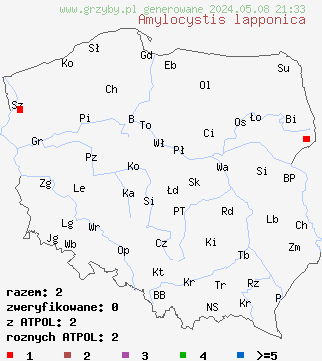 znaleziska Amylocystis lapponica (późnoporka czerwieniejąca) na terenie Polski