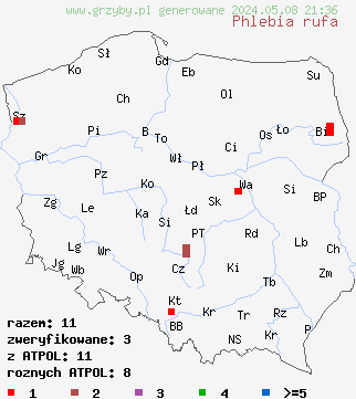 znaleziska Phlebia rufa (żylak czerwonawy) na terenie Polski
