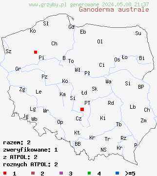 znaleziska Ganoderma australe (lakownica europejska) na terenie Polski