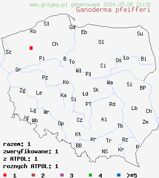 znaleziska Ganoderma pfeifferi (lakownica czerwonawa) na terenie Polski