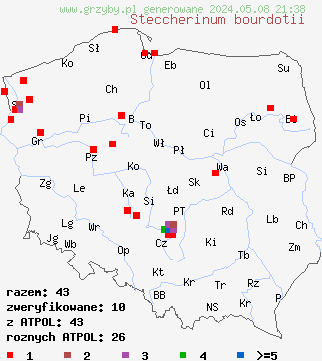 znaleziska Steccherinum bourdotii (porokolczak kulistozarodnikowy) na terenie Polski