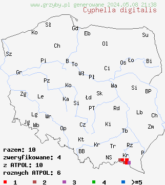 znaleziska Cyphella digitalis (kielisznik jodłowy) na terenie Polski
