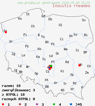 znaleziska Inocutis rheades (błyskoporek cynamonowy) na terenie Polski