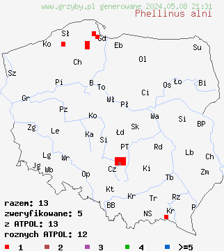 znaleziska Phellinus alni (czyreń jabłoniowo-olszowy) na terenie Polski