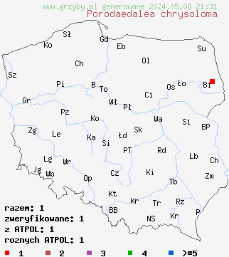 znaleziska Porodaedalea chrysoloma (czyreń świerkowy) na terenie Polski
