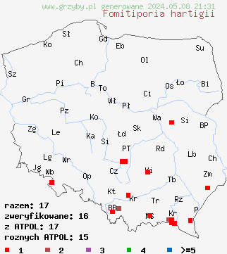 znaleziska Fomitiporia hartigii (czyreń jodłowy) na terenie Polski