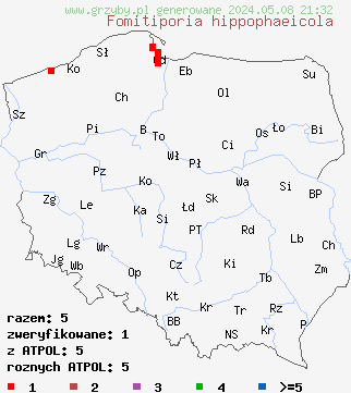 znaleziska Fomitiporia hippophaeicola (guzoczyrka rokitnikowa) na terenie Polski