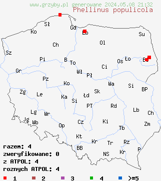 znaleziska Phellinus populicola (czyreń topolowy) na terenie Polski