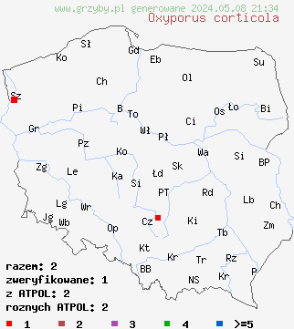 znaleziska Oxyporus corticola (napień wypłowiały) na terenie Polski