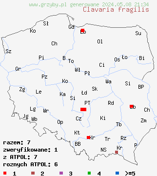 znaleziska Clavaria fragilis (goździeniec robakowaty) na terenie Polski