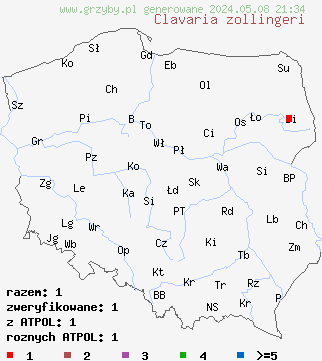 znaleziska Clavaria zollingeri (goździeniec fioletowy) na terenie Polski