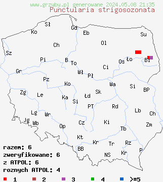 znaleziska Punctularia strigosozonata (skórniczka kasztanowobrązowa) na terenie Polski