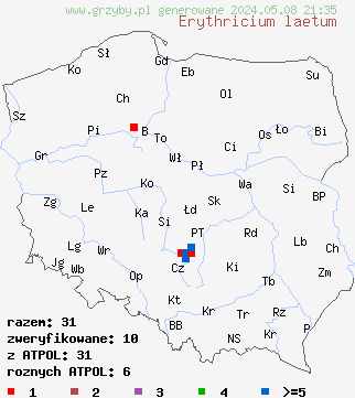 znaleziska Erythricium laetum (różówka nadrzewna) na terenie Polski