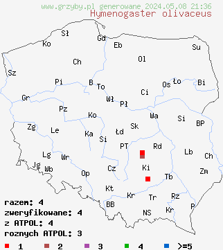 znaleziska Hymenogaster olivaceus (podziemniczek oliwkowy) na terenie Polski