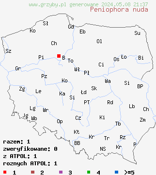 znaleziska Peniophora nuda (powłocznica różowoszara) na terenie Polski
