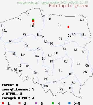 znaleziska Boletopsis grisea (szaraczek sosnowy) na terenie Polski