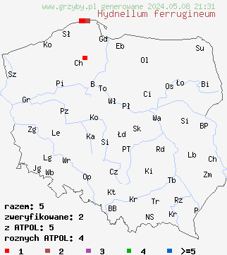 znaleziska Hydnellum ferrugineum (kolczakówka kasztanowata) na terenie Polski