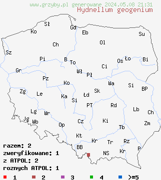 znaleziska Hydnellum geogenium (kolczakówka zielonożółta) na terenie Polski