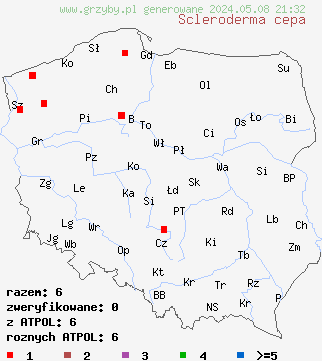 znaleziska Scleroderma cepa (tęgoskór cebulowaty) na terenie Polski