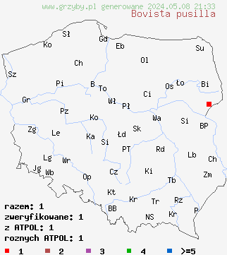 znaleziska Bovista pusilla (kurzawka drobniutka) na terenie Polski