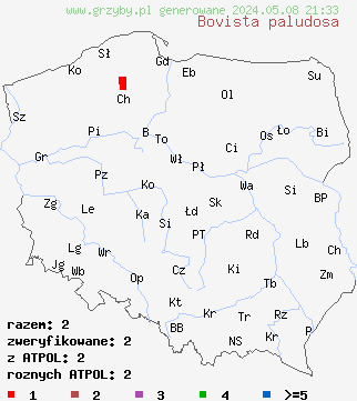 znaleziska Bovista paludosa (kurzawka bagienna) na terenie Polski