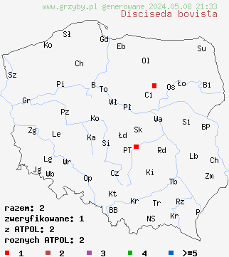 znaleziska Disciseda bovista (przewrotka wielka) na terenie Polski