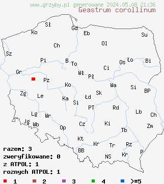 znaleziska Geastrum corollinum (gwiazdosz brodawkowy) na terenie Polski