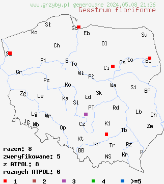 znaleziska Geastrum floriforme (gwiazdosz kwiatuszkowaty) na terenie Polski