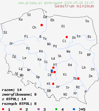 znaleziska Geastrum minimum (gwiazdosz najmniejszy) na terenie Polski