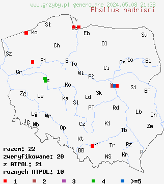 znaleziska Phallus hadriani (sromotnik fiołkowy) na terenie Polski