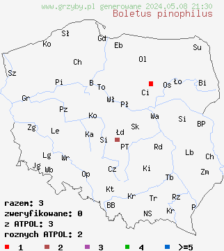 znaleziska Boletus pinophilus (borowik sosnowy) na terenie Polski