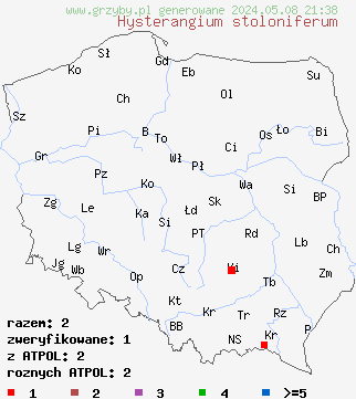 znaleziska Hysterangium stoloniferum (podkorzeniak leszczynowy) na terenie Polski