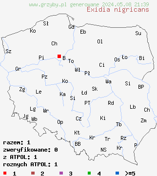 znaleziska Exidia nigricans (kisielnica kędzierzawa) na terenie Polski