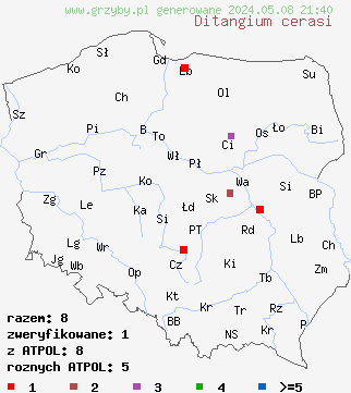 znaleziska Ditangium cerasi (dzbaneczkówka różowawa) na terenie Polski